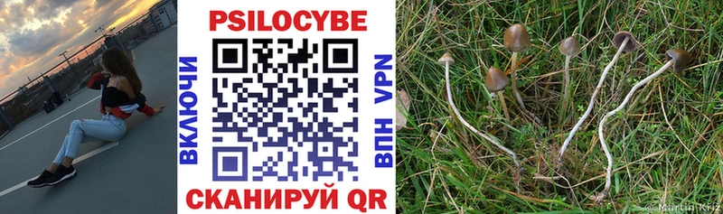 Псилоцибиновые грибы Psilocybine cubensis  Купить закладки  Аркадак 